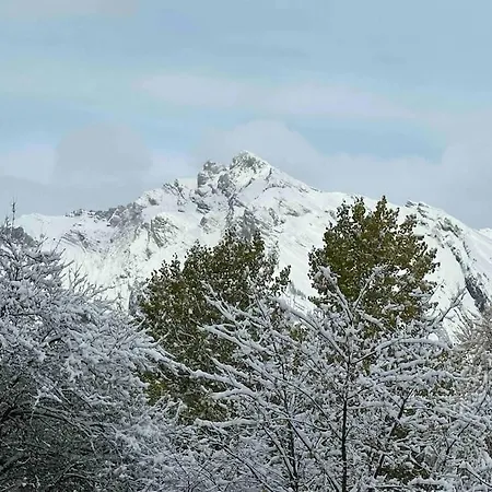公寓 Swiss Alps View *